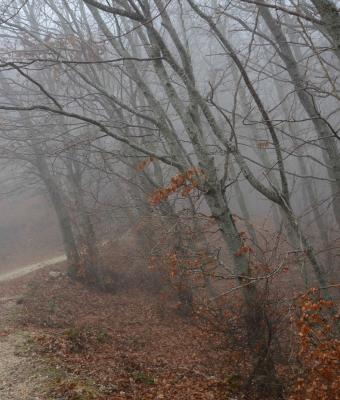 innaturamonte-navegna-rieti2