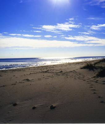 spiaggia-di-berchida