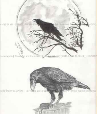 the-raven-and-the-moon-il-co