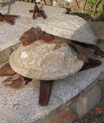 copula-turtle