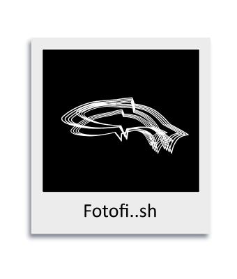 fotofish