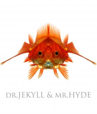 drjekyll-amp-mrhyde