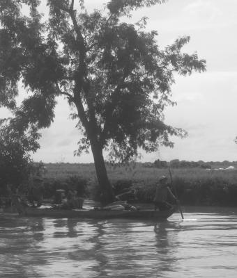 cambodia-black-and-tree