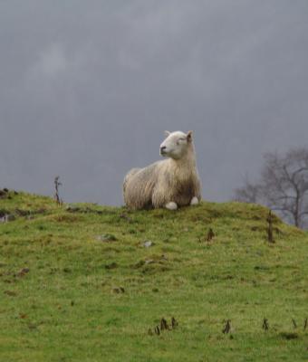 lake-district