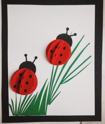 coccinelle