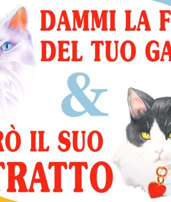 dammi-la-foto-del-tuo-gatto-e