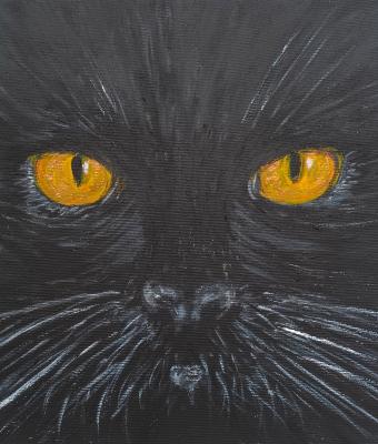 black-cat