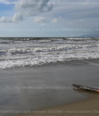 tronco-sulla-spiaggia