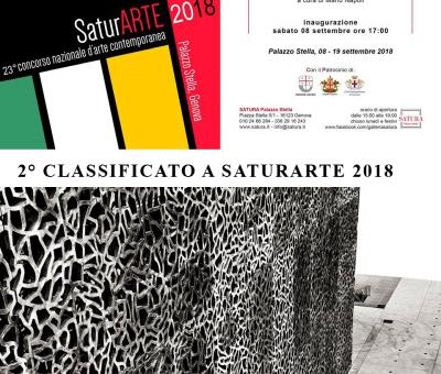 satura-international-contest-2018