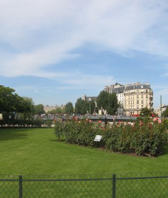 il-verde-della-natura-incontam