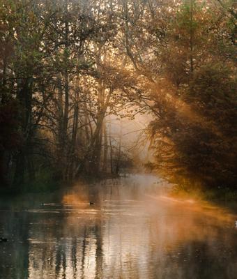 la-luce-in-autunno