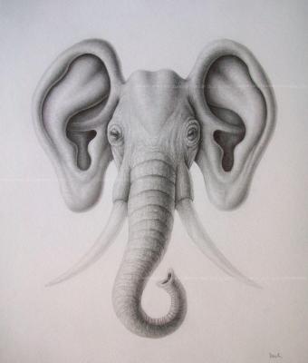 auricolephant