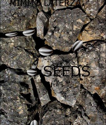 seeds