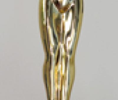 premio-oscar-per-le-arti-visive