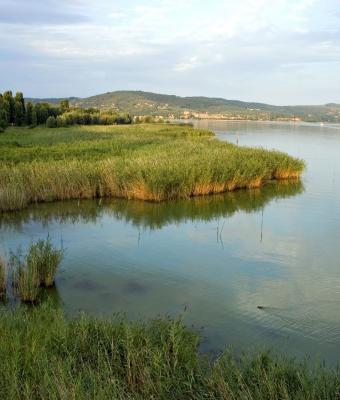 il-trasimeno