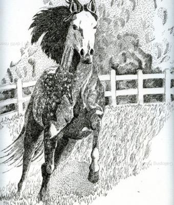 galloping-horse