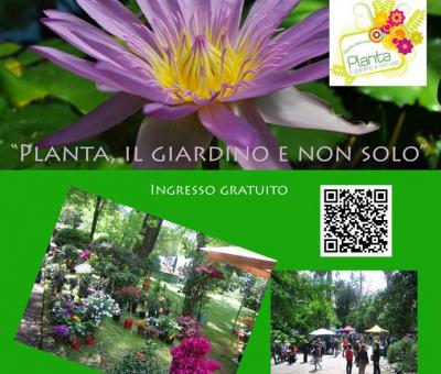 planta-il-giardino-e-non-solo