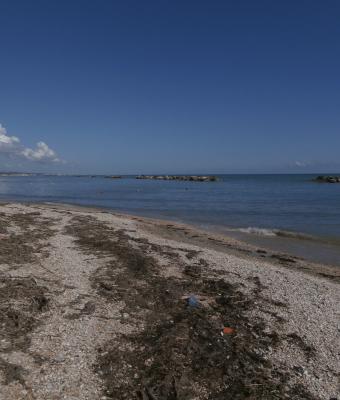 spiaggia-di-sassi