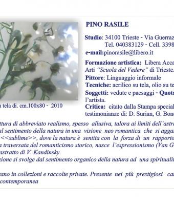 pino-rasile