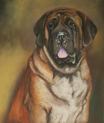 mastiff