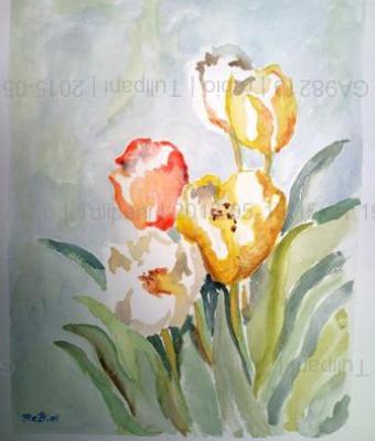 tulipani