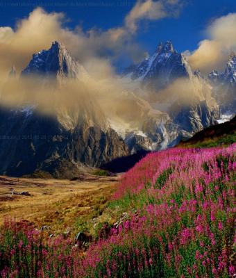 quotmassif-du-mont-blancquo