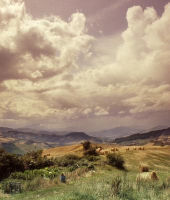 paesaggio-collinare