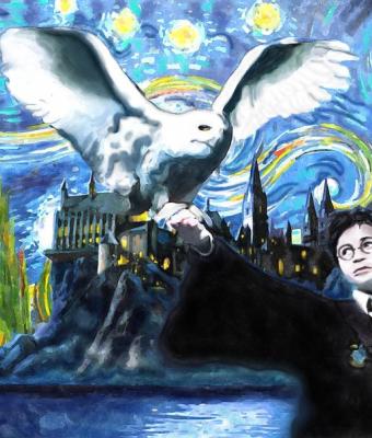 harry-potter-and-the-starry-n