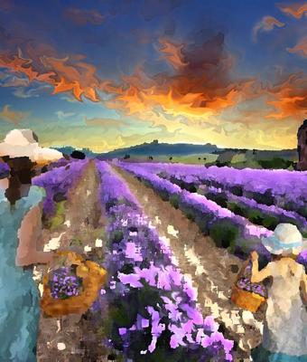 provence