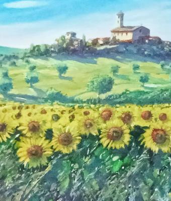 la-pieve-e-i-girasoli