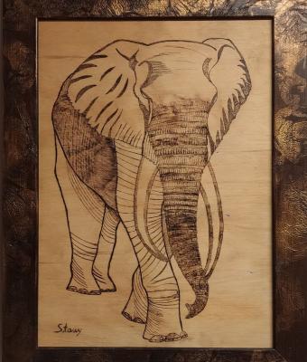 elefante