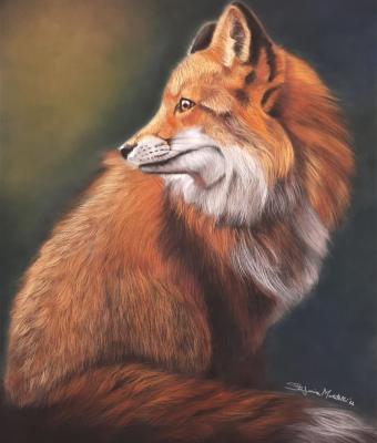 fox