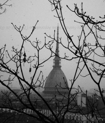 mole-antonelliana