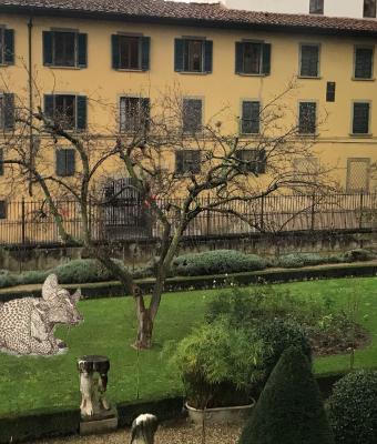 mucca-in-giardino