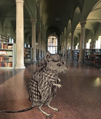 indagini-in-biblioteca-domenic