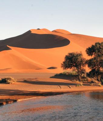 dune-nel-deserto